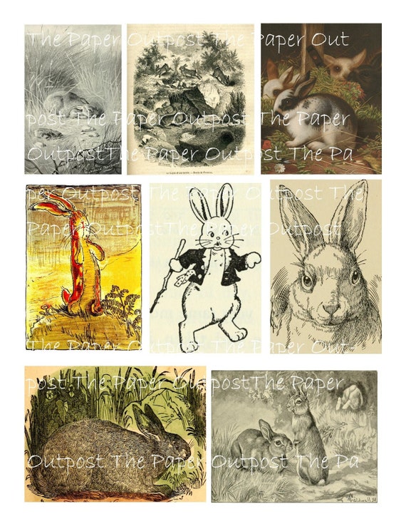 Bunnies From Yesteryear vintage digital printable rabbit digikit digital kit printable digi kit ThePaperOutpost sketches the paper outpost