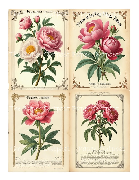 Flower Love Flowers, floral, botanical cards, antique style Images (Digital Kit)
