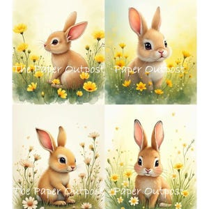 May include: Four watercolor illustrations of adorable brown bunnies in a field of yellow and white flowers. The text "The Paper Outpost" is visible in the image. The artwork has a soft, pastel color palette.