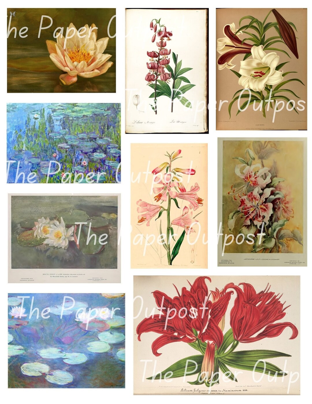 LILY FLOWERS Printable Digital Download Printable Image, Lilies, Flower ...