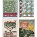BOTANICAL PRINTS Printable Digital Download Printable Botanicals Flower ...