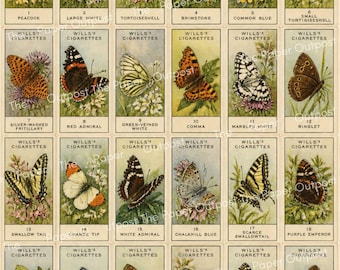 Vintage Butterfly Cigarette Cards | Antique Butterflies | Junk Journal Insects | Printable Signature Pages Pam at the Paper Outpost