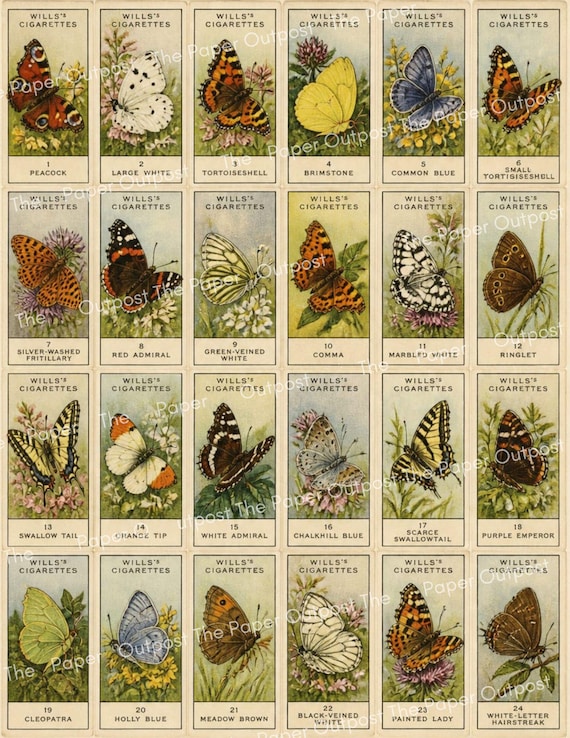 Vintage Butterfly Cigarette Cards | Antique Butterflies | Junk Journal Insects | Printable Signature Pages Pam at the Paper Outpost