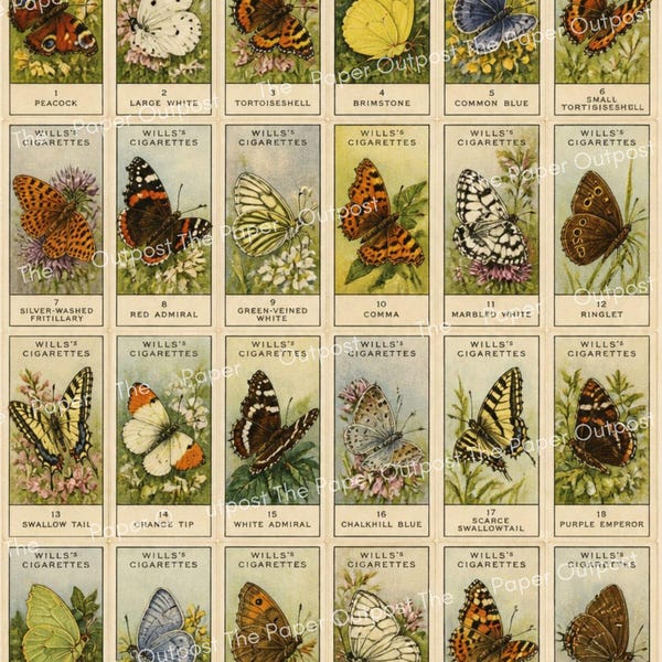 Vintage Butterfly Cigarette Cards | Antique Butterflies | Junk Journal Insects | Printable Signature Pages Pam at the Paper Outpost