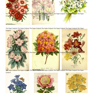 Blooms of Beauty Vintage Digikit Digital Kit Digital Printable Digital ...