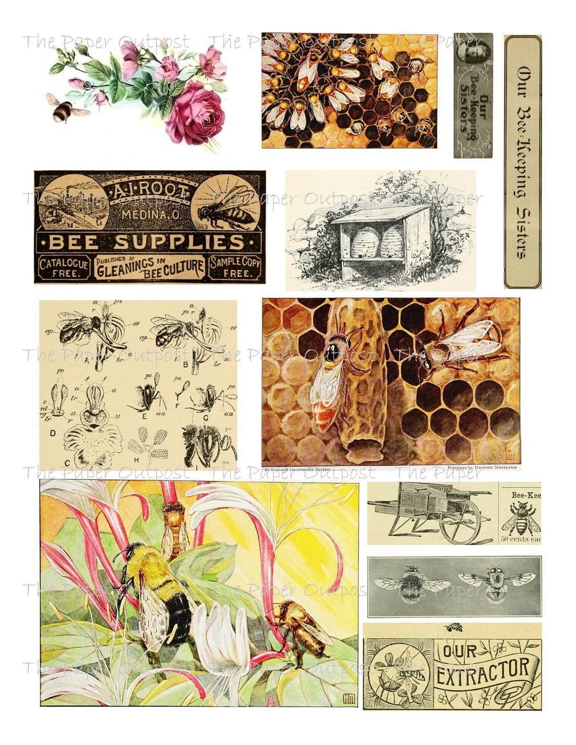 BEES Printable Digital Download Printable Image Digikit Bee - Etsy