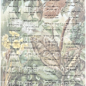 Nature's Phrases and Wings Digital Printable Kit for Junk Journal Embellishments! Butterflies  and Words