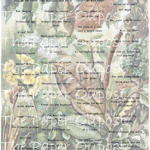 Digitale afdrukbare kit Nature's Phrases and Wings voor junkjournal-versieringen! Vlinders en woorden