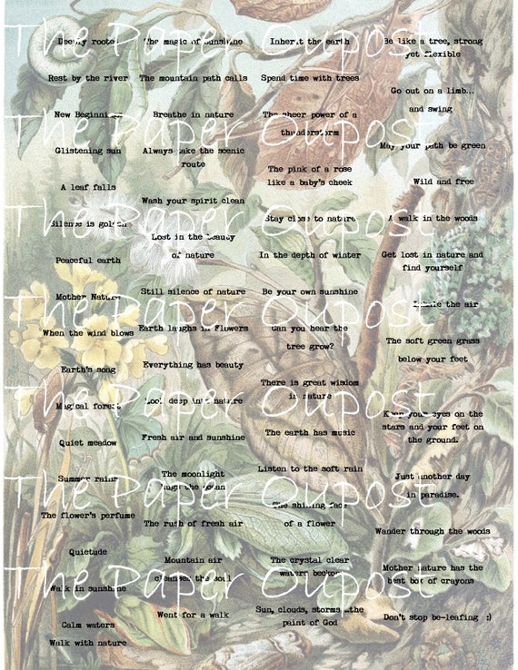 Nature's Phrases and Wings Digital Printable Kit for Junk Journal Embellishments! Butterflies  and Words