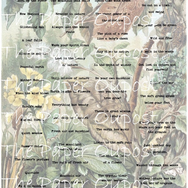 Nature's Phrases and Wings Digital Printable Kit for Junk Journal Embellishments! Butterflies  and Words