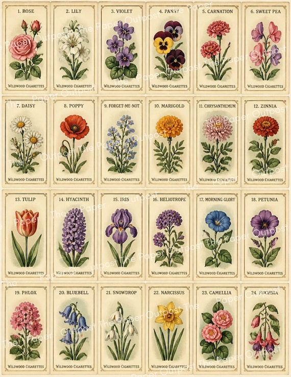 Vintage Flower Cigarette Cards | Antique Botanical Images | Junk Journal Flowers | Printable Signature Pages Pam at the Paper Outpost