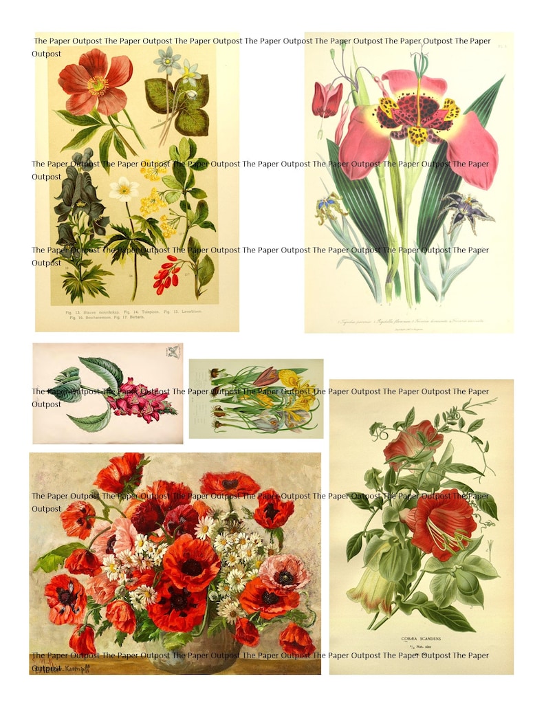 Blooms of Beauty Vintage Digikit Digital Kit Digital Printable | Etsy