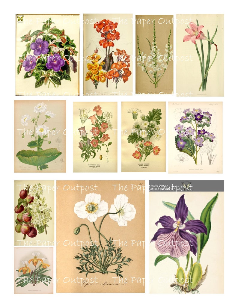 Precious Flowers Digikit Digital Kit Digital Printable Digital - Etsy