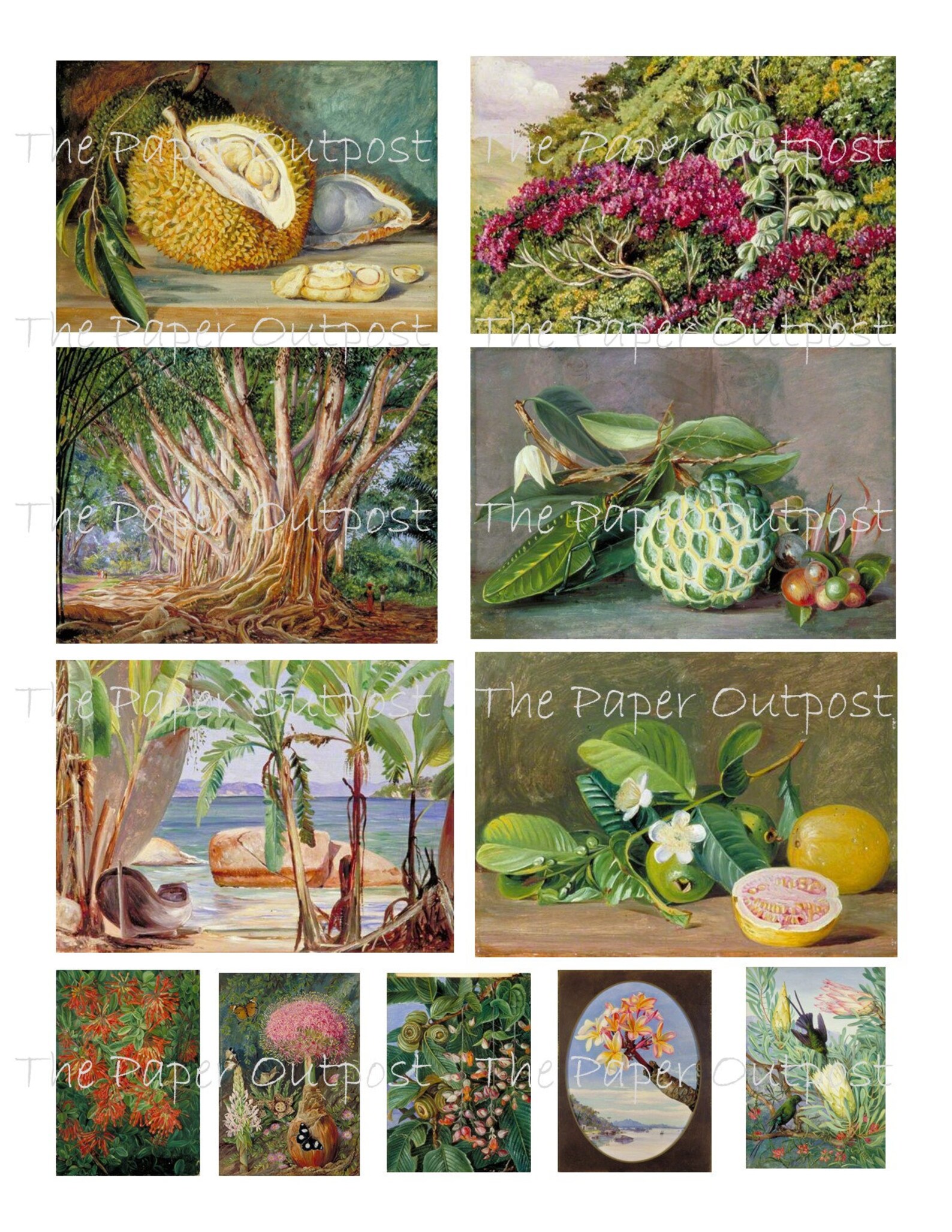 TROPICAL PARADISE Printable Digital Download Printable Image - Etsy