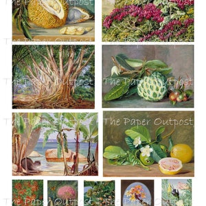 TROPICAL PARADISE Printable Digital Download Printable Image, Digikit ...
