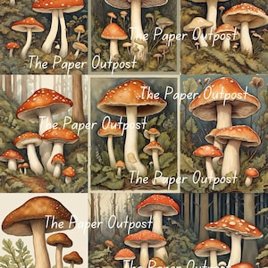 MUsHROOM MAGIC Digikit digikit imprimable numérique champignon, champignons, champignons vénéneux illustration botanique ThePaperOutpost boutique avant-poste