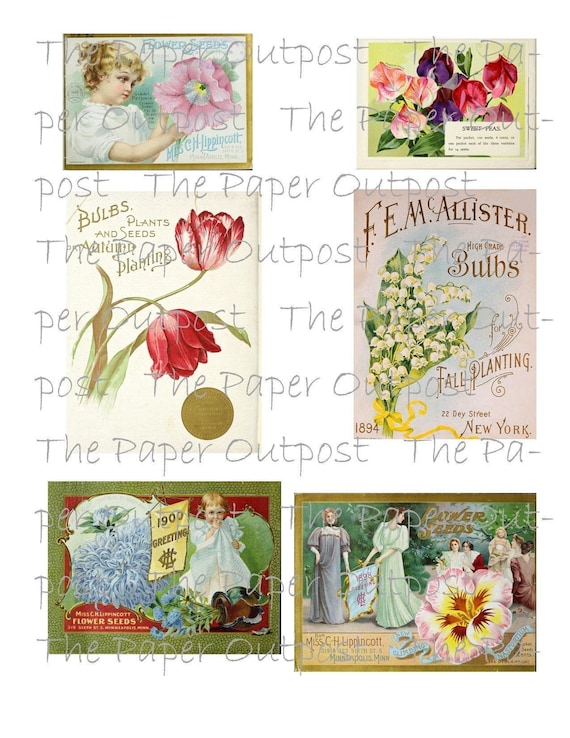 Vintage seed flower ads digital printable Vintage flower Digital Kit Junk Journal Ephemera  Vintage seeds pictures roses The Paper Outpost