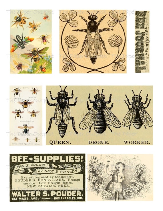 BEES Printable Digital Download Printable Image, Digikit Bee Bumblebee Buzz Instant Download paper outpost shop Paper Outpost PaperOutpost