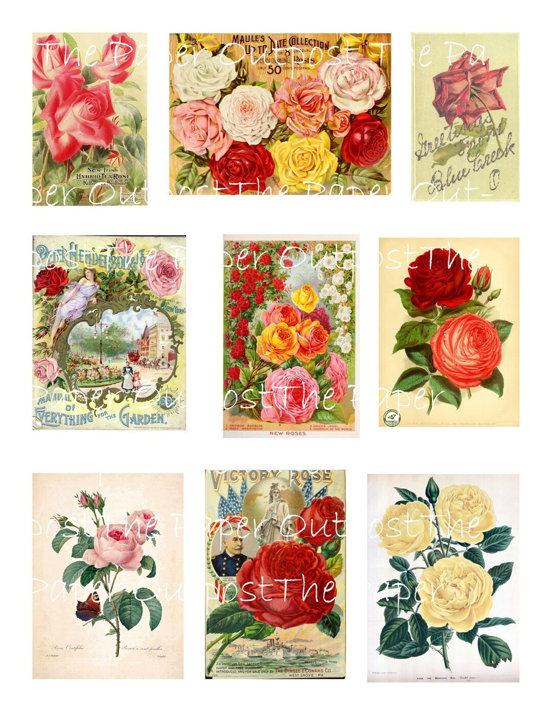 Vintage Roses Digital Collage Kit: Printable Ephemera (digital Download ...