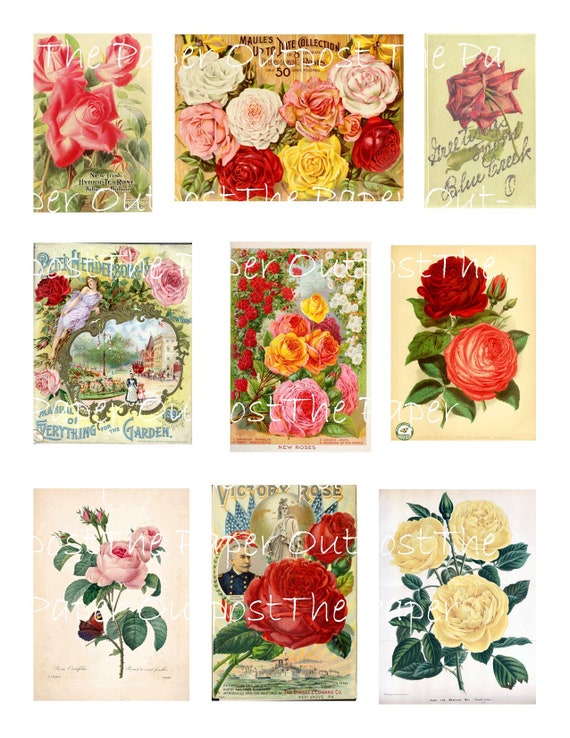 Roses Vintage Digikit digital printable kit digital kit digi kit digikit rose images  ThePaperOutpost  antique roses the paper outpost