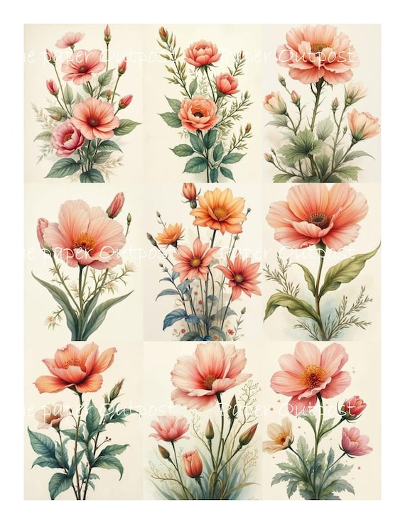 Sweet Pinky Peach Flowers Digikit: Printable Floral Images (Digital Download)