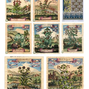 BOTANICAL PRINTS Printable Digital Download Printable Botanicals Flower ...