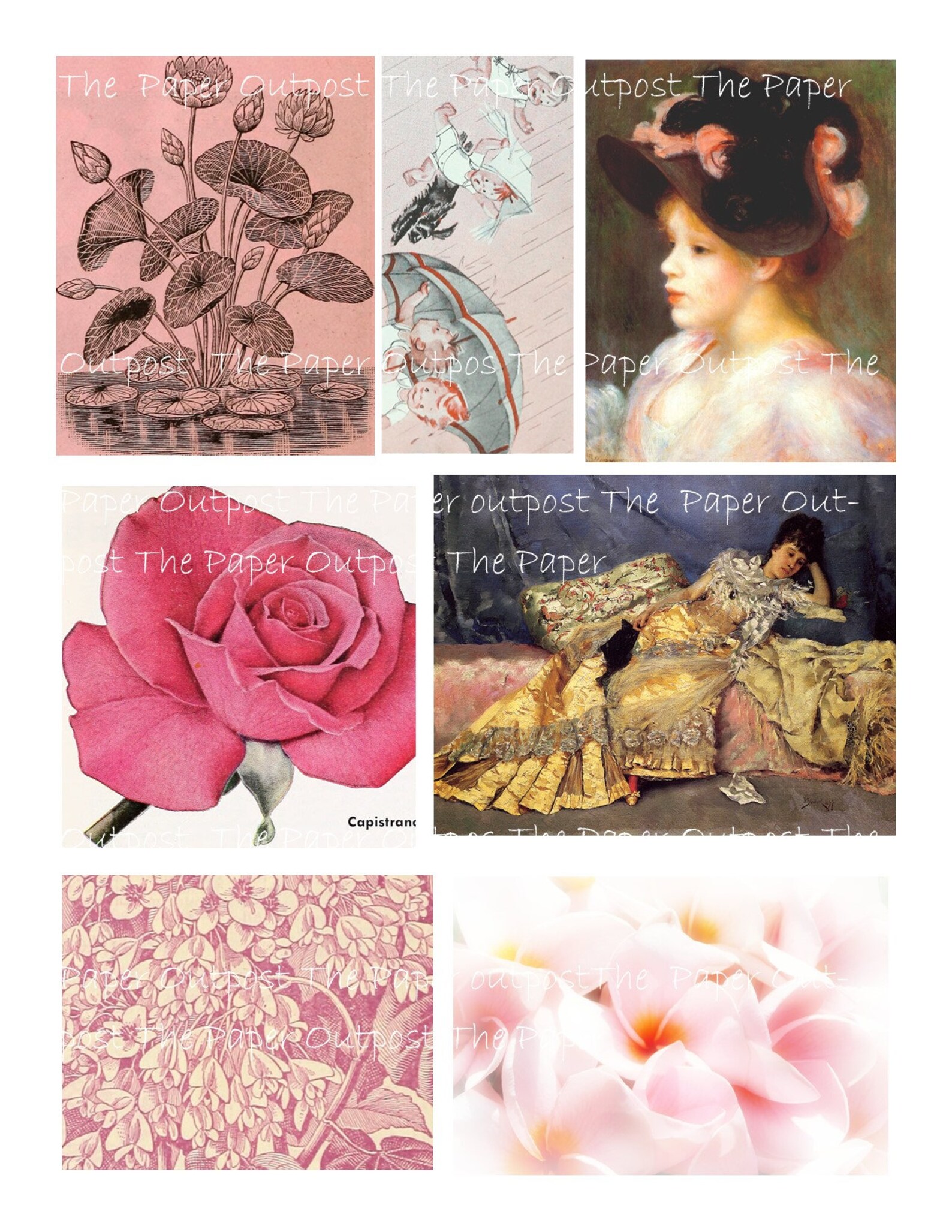 jordan 5 retro premium wine