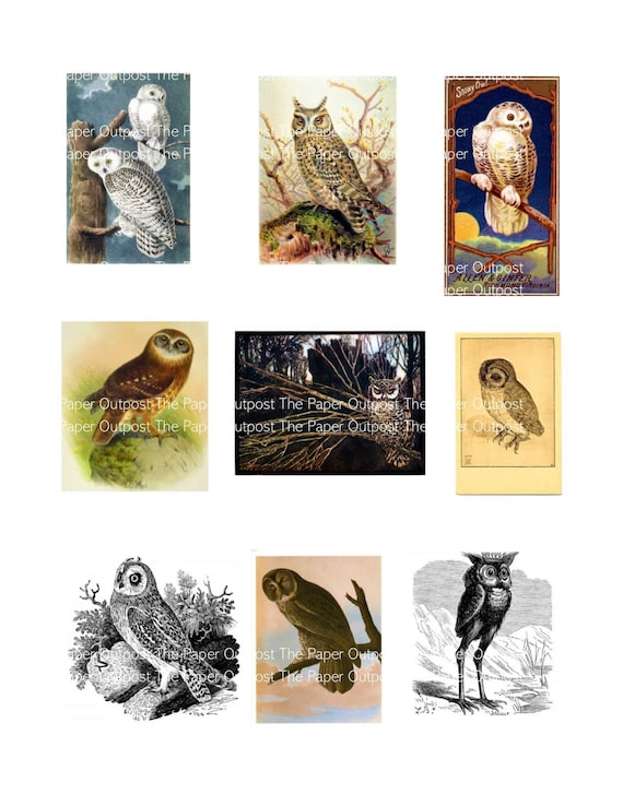 Owls Vintage Digital Kit Digital Printable digikit Junk Journal Junk Journals Owl Vintage Ephemera Owl Owl Illustrations The Paper Outpost