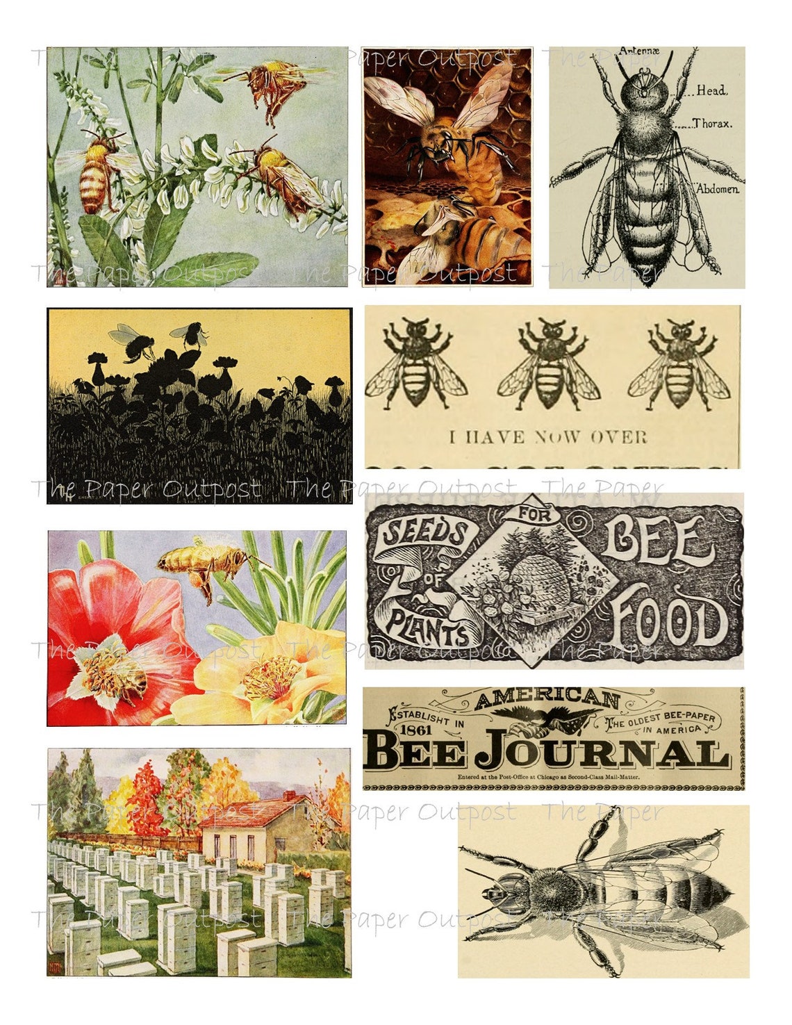 BEES Printable Digital Download Printable Image Digikit Bee Etsy
