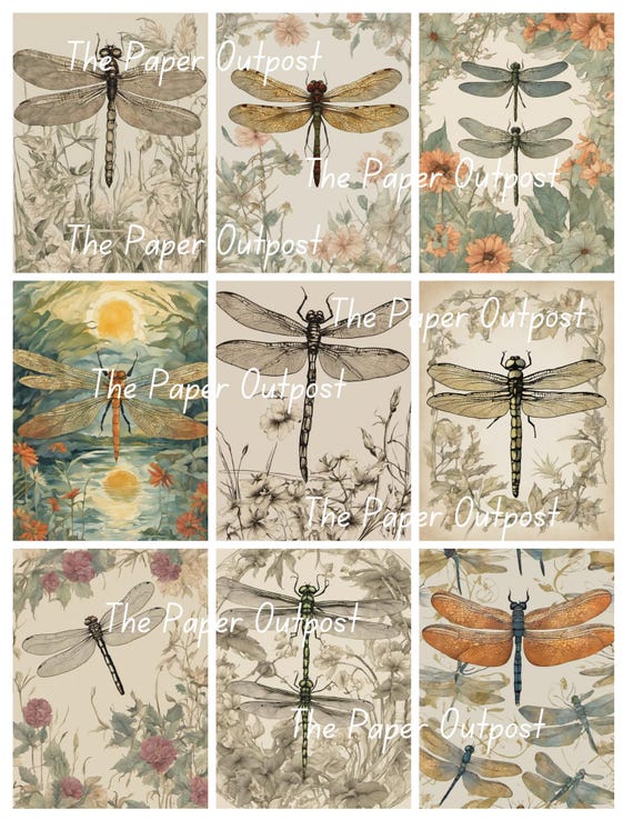 DRAGONFLY DANCE Digikit digi kit digital printable digital dragonfly illustration, dragonfly drawing, fly ThePaperOutpost paper outpost shop