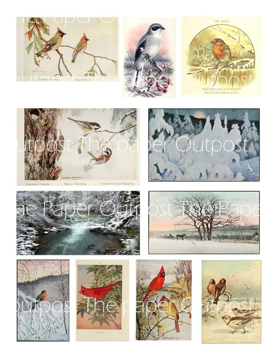 Wintery Wildlife Digikit Digital Printable Printables Digikits Digi kit Birds Animals Winter scenes Bird The Paper Outpost ThePaperOutpost