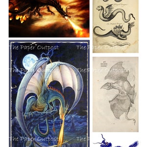 May include: A collage of four images featuring dragons. The top left image shows a black dragon breathing fire against a fiery orange and red background. The top right image shows three different types of dragons from an old book. The bottom left image shows a blue dragon breathing fire against a dark blue background with a full moon. The bottom right image shows a blue dragon with a white background.