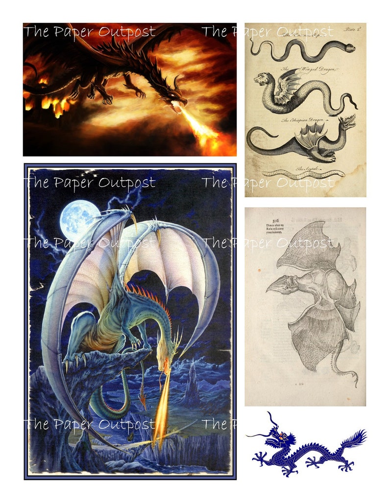 DRAGON LORE Printable Digital Download Printable Image - Etsy