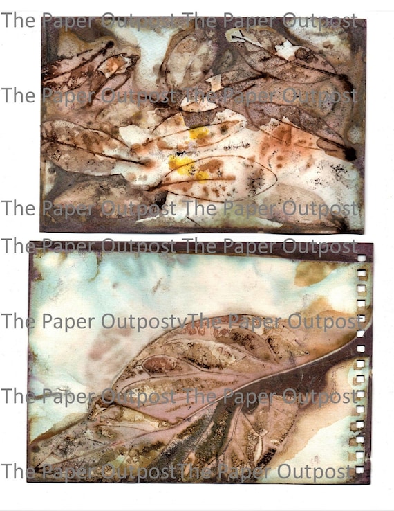 Ecodyed Digital Kits Eco-dying ecodied eco-died digi kits digikits Digital printable kits ecodyed digitals leaves leaf images leaf picture