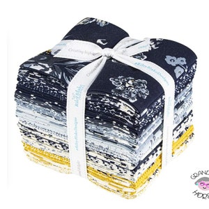 Gingham Foundry Fat Quarter Bundle 27 stuks - Riley Blake Designs - Pre cut Precut - Bloemen bloemen - Quilting Katoen stof