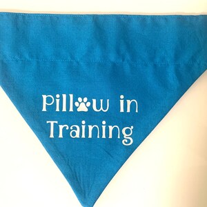 Dog Bandana over the collar