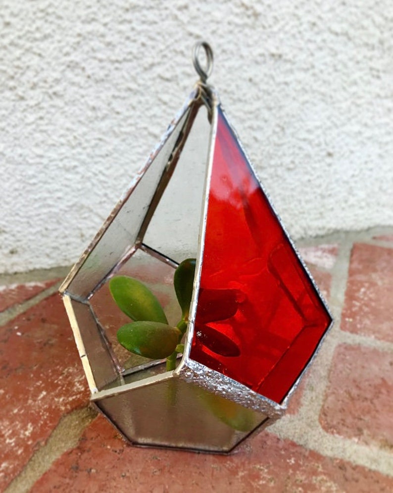 Succulent and Air Plant Holder 5 x 4