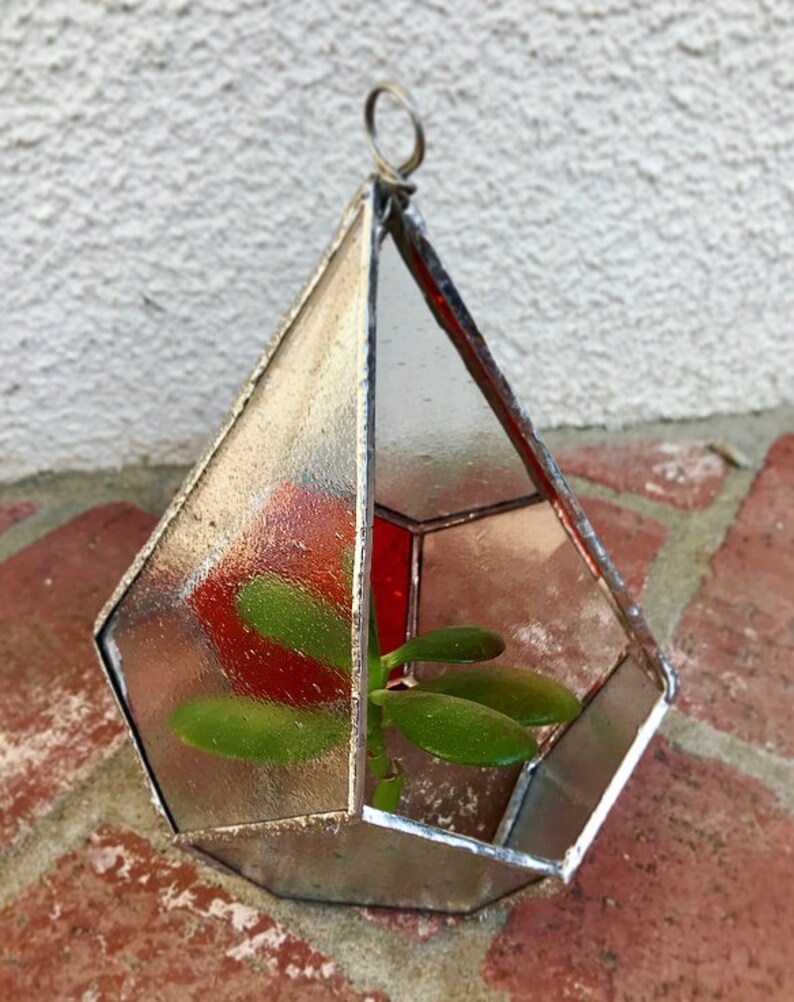 Succulent and Air Plant Holder 5 x 4