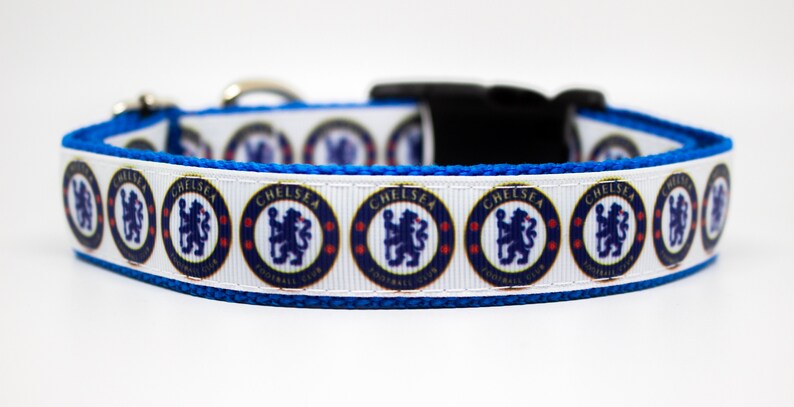 chelsea dog collar