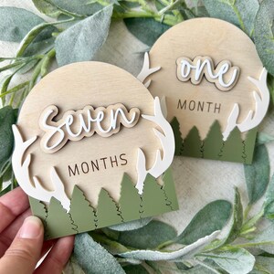 Monthly Milestone Discs, Baby Boy Monthly Milestone, Antler Monthly Milestone, Boy Milestone Sign, Baby Photo Prop, Baby Milestone, Nursery