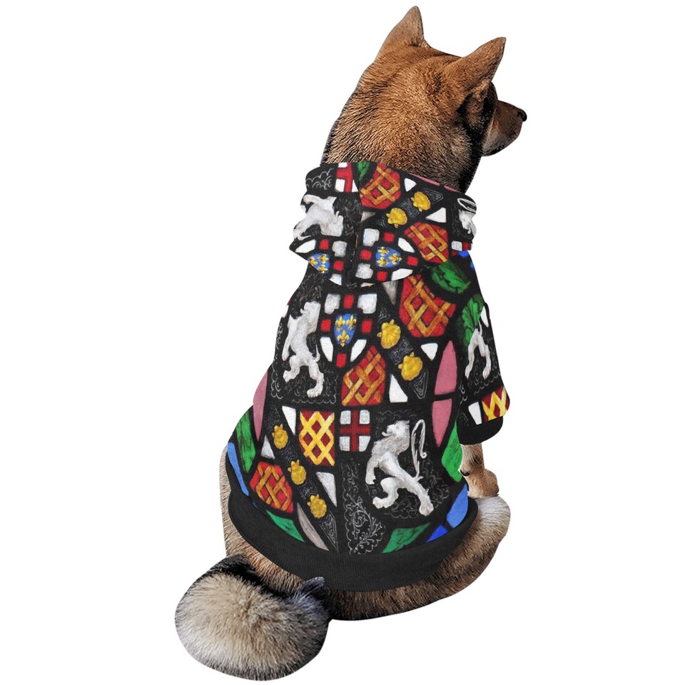 Discover Pet Dog Hoodie