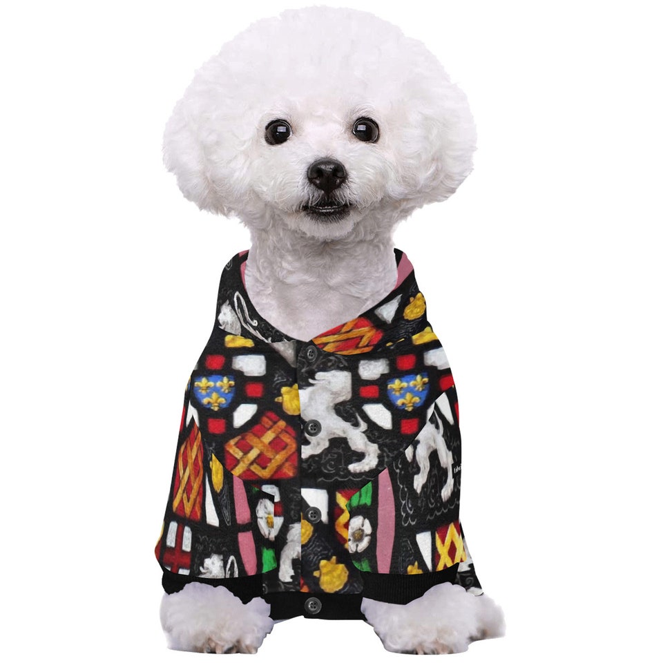 Discover Pet Dog Hoodie