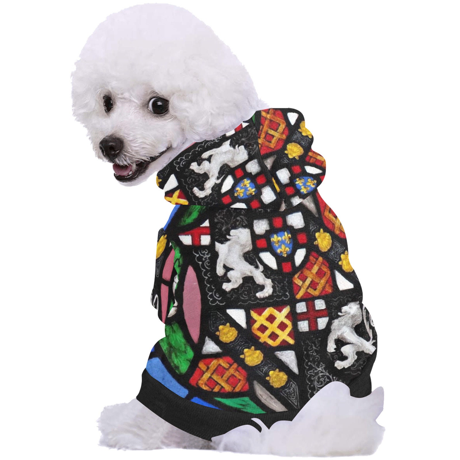 Louie Designer Dog Coat For Winter