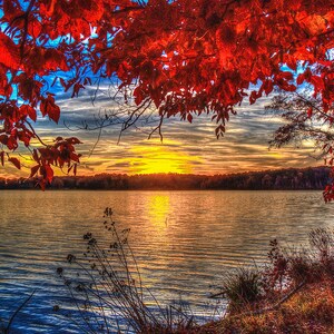 May include: A scenic view of a lake with a bright orange sunset in the background. The foreground features a vibrant red tree with leaves framing the scene. The water is calm and reflects the colors of the sky.