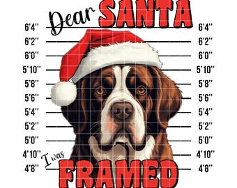 Funny Christmas Dog Mugshot: St. Bernard Sublimation Design (PNG INSTANT DOWNLOAD)