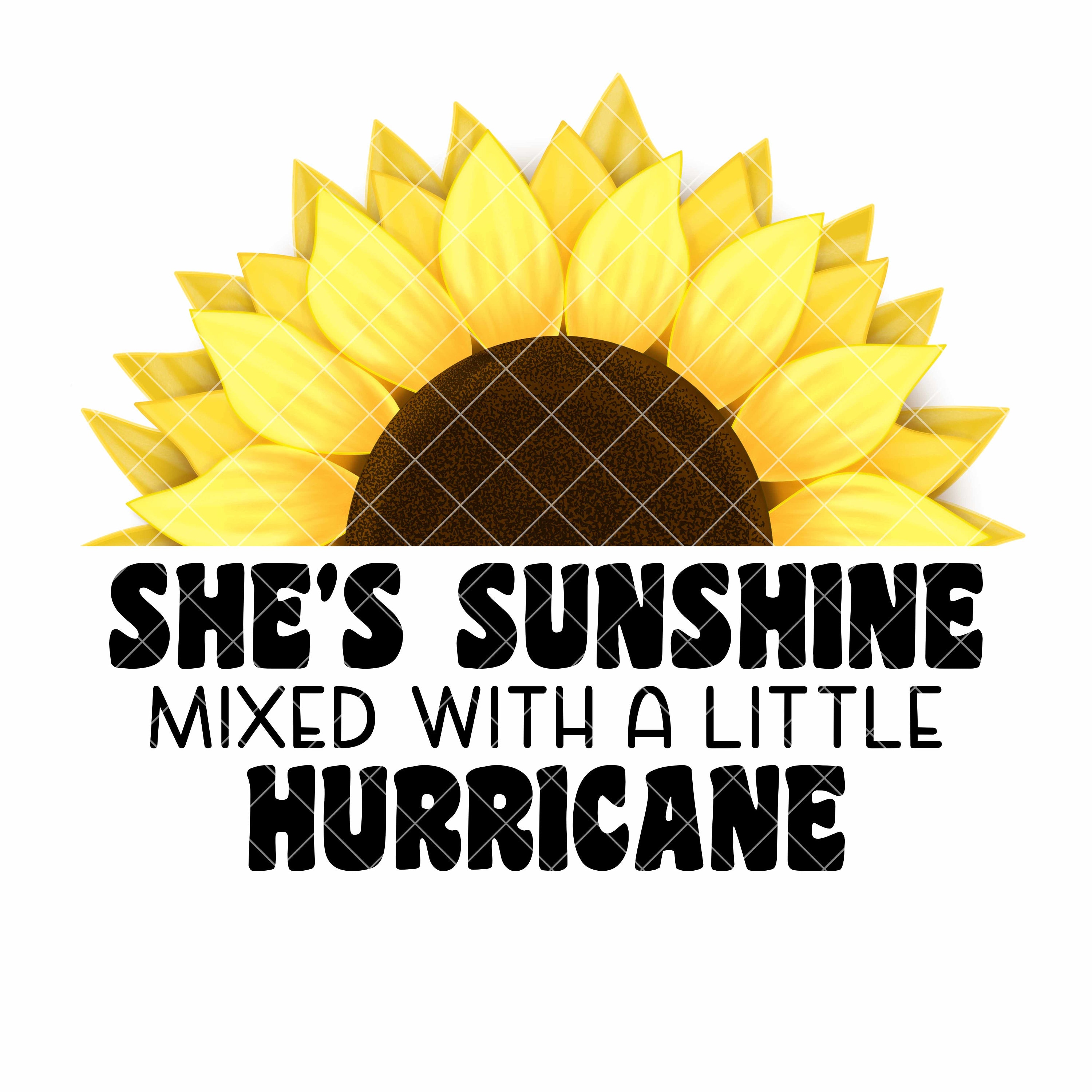 Sunshine Mixed With A Little Hurricane Sunshine Mixed With A Little Hurricane