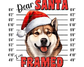Funny Christmas Dog Mugshot: Akita Sublimation Design (PNG Instant Download)