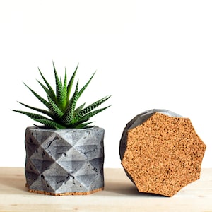 Geometrische Concrete Planter |  Beton decor | Vetplanten Pot | De Pot van de installatie
