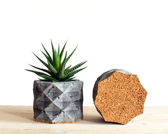 Geometric Concrete Planter |  Concrete Decor | Succulents Pot | Plant Pot