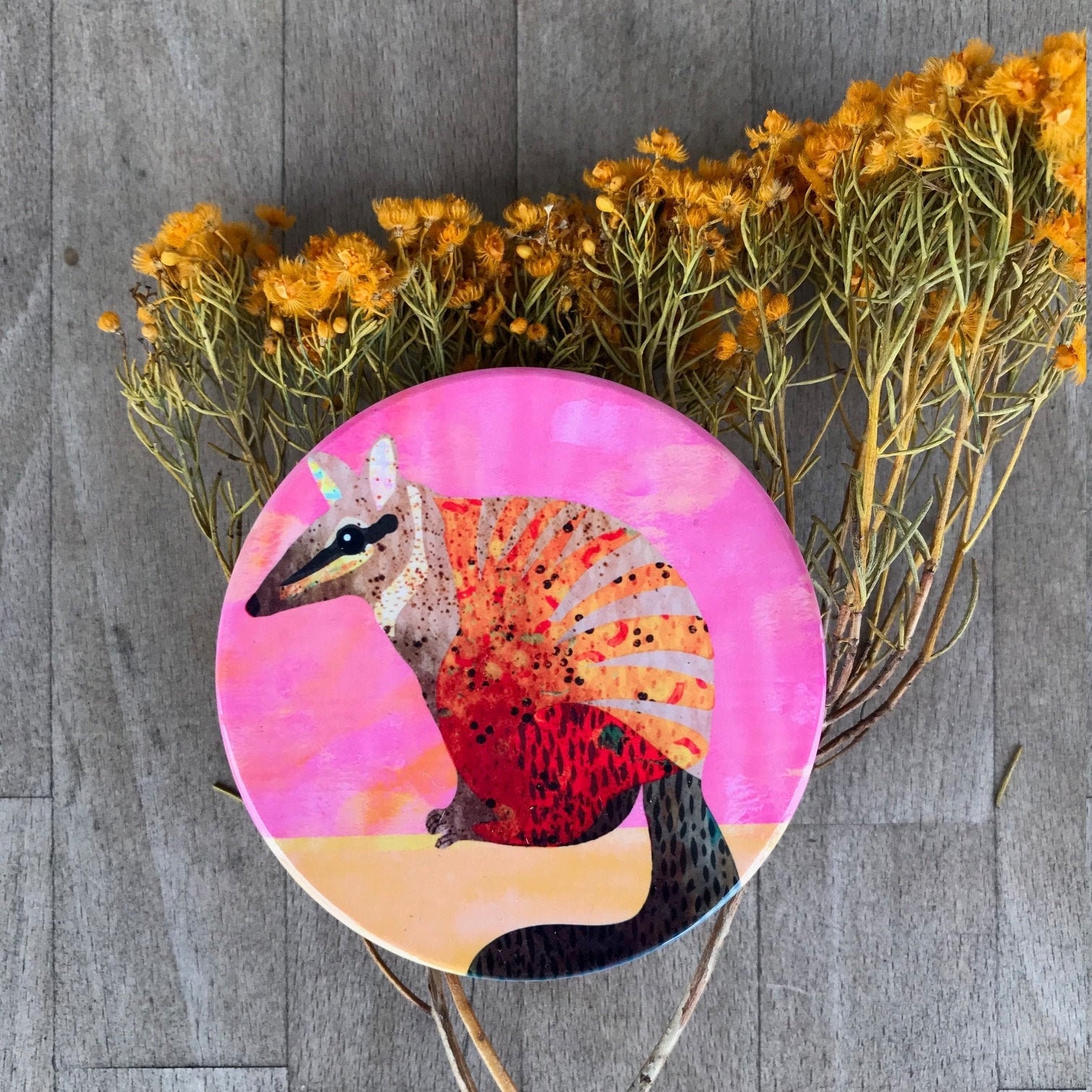 Numbat Ceramic Coaster Native Animals Australiana Etsy